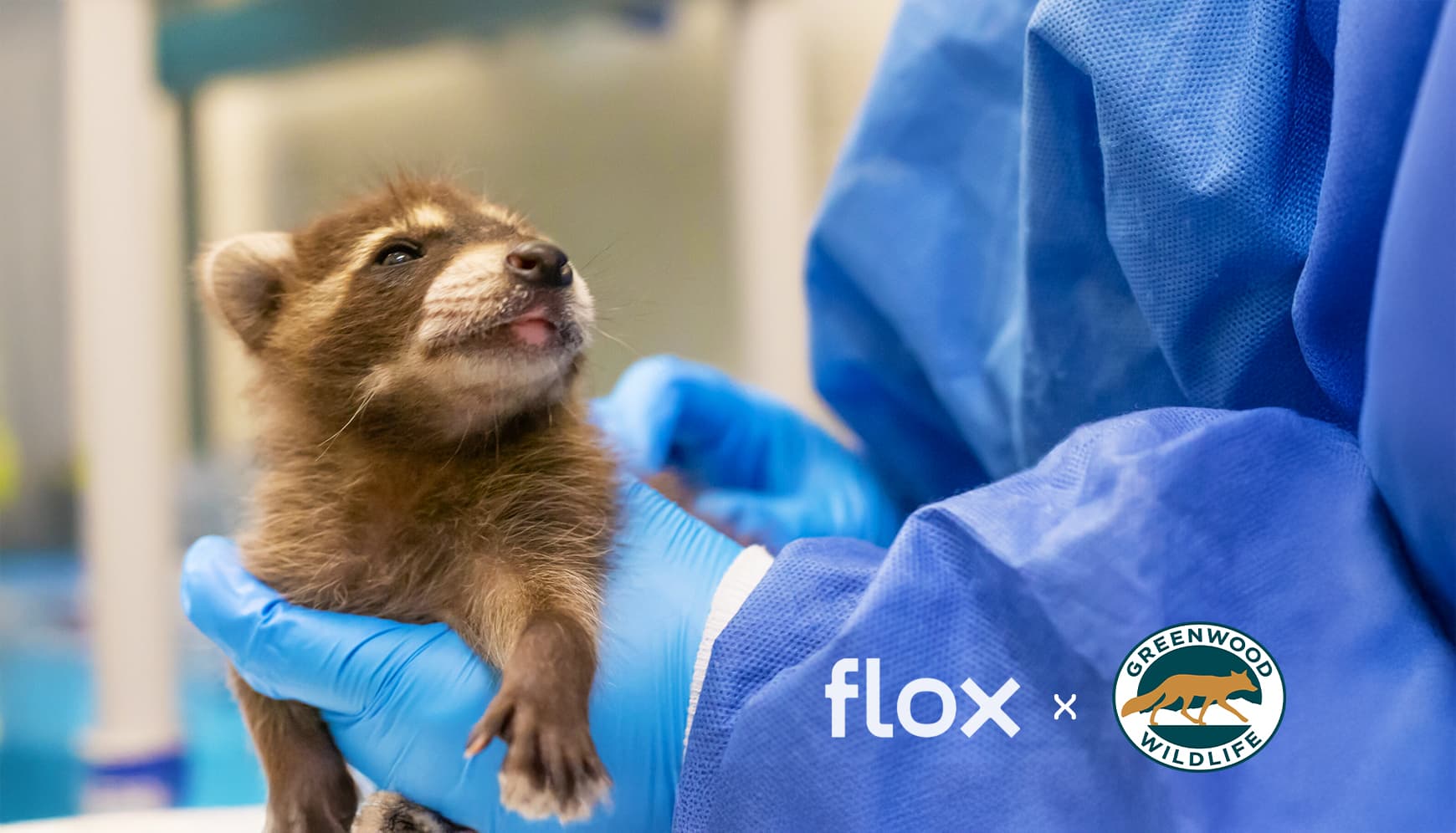 From Conflict to Coexistence: Flox and Greenwood Join Forces to Protect Colorado’s Wildlife