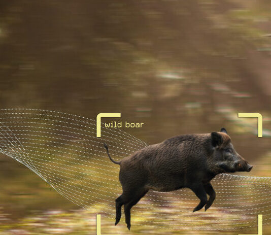 Agriculture & Livestock